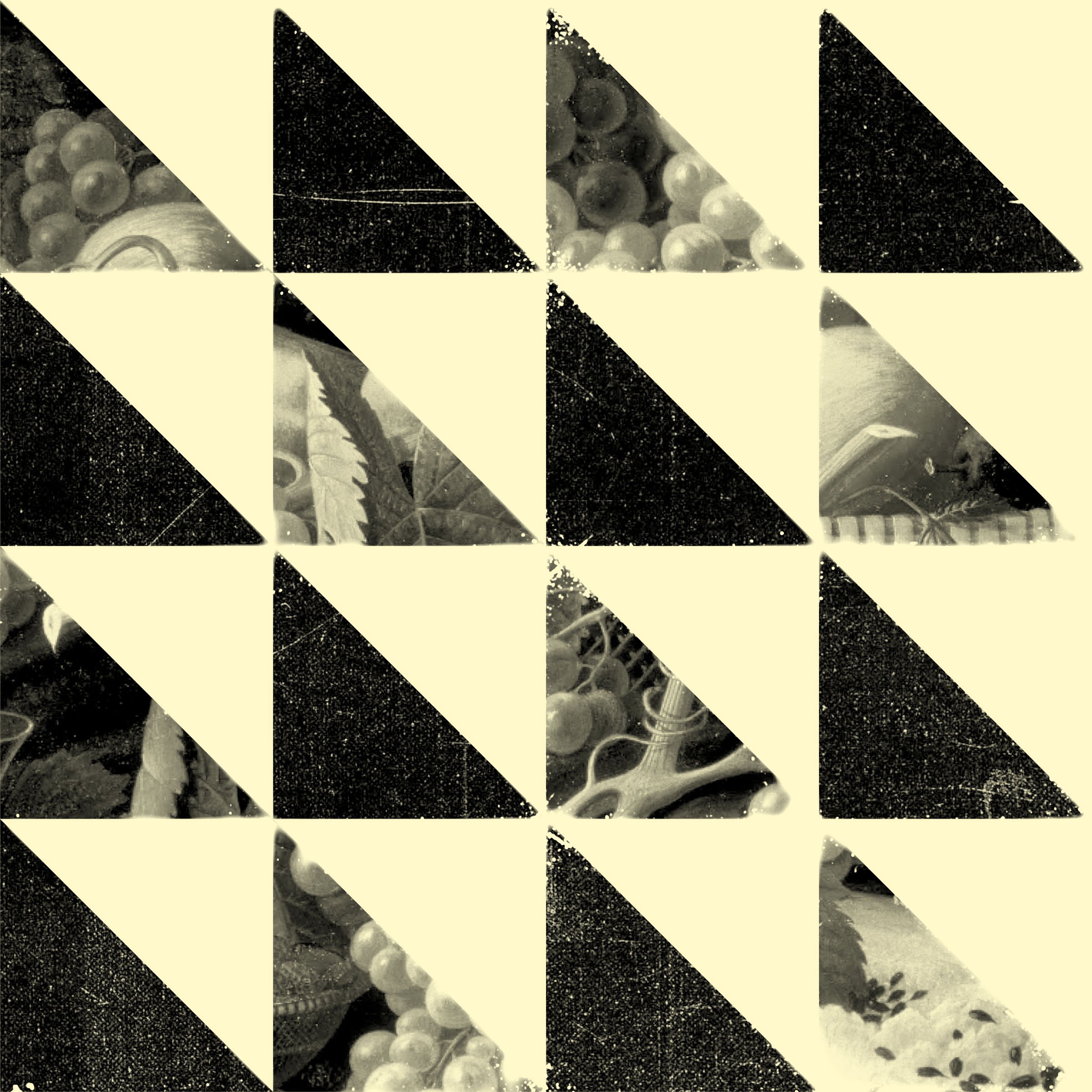 Checkerboard composition alternating solid black triangles with halftone fruit-texture triangles