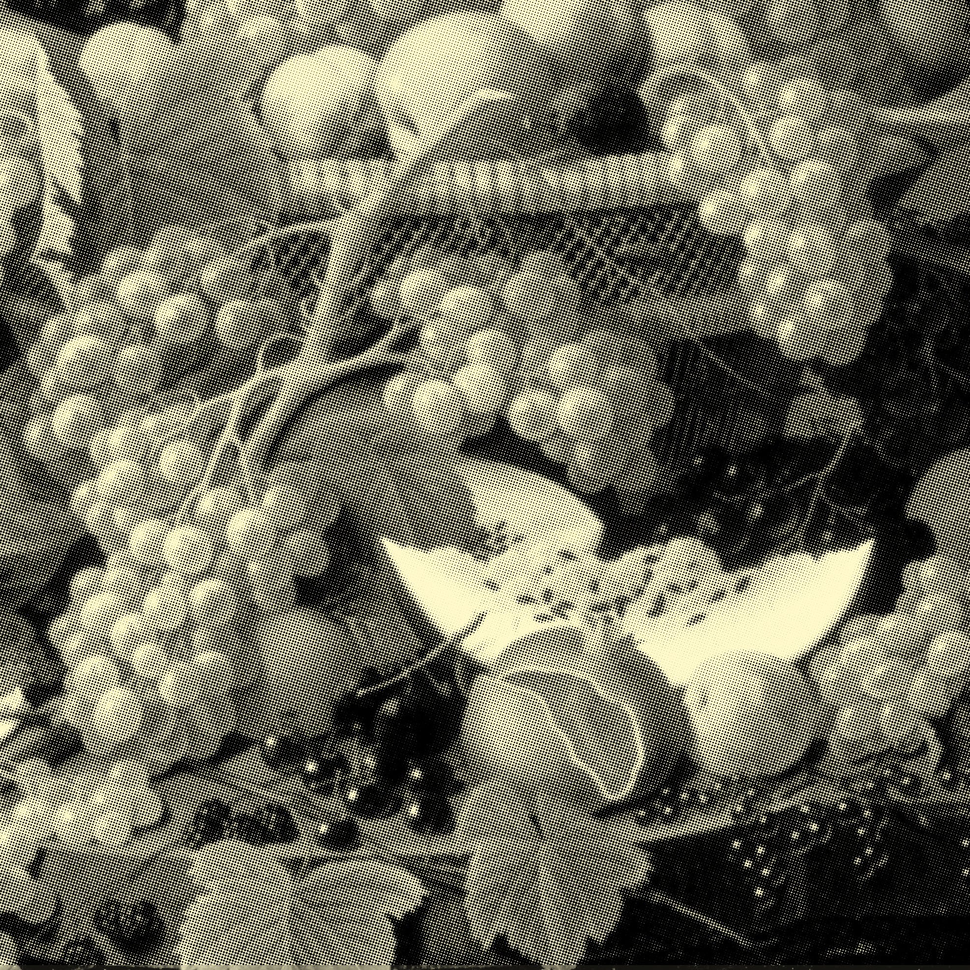 Halftone-treated still-life of fruit — grapes, melon, currants — used as a brand texture